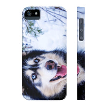 Slim Phone Cases, Husky Phone Case 05